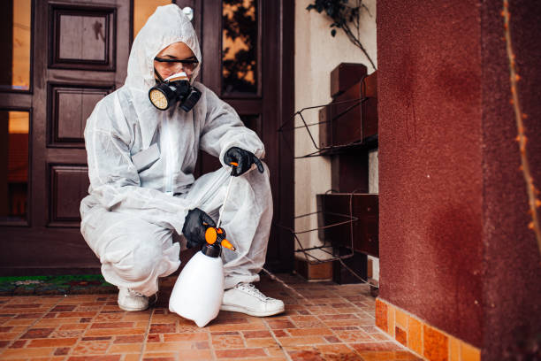 Reliable Cockroach Control contractor in West Hollywood, CA by Nex Pest Control