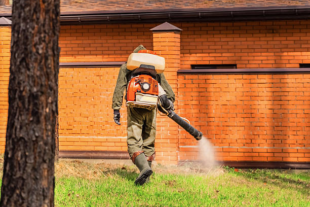 Trusted Fumigation Services service in West Hollywood, CA - Nex Pest Control
